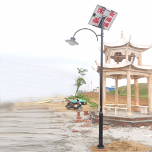 泌陽縣春水鎮太陽能景觀燈